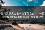 我和我家大金毛卡住了怎么办——一篇给铲屎官的温柔应急与日常关爱软文
