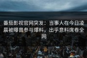 番茄影视官网突发：当事人在今日凌晨被曝曾参与爆料，出乎意料席卷全网