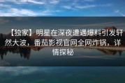 【独家】明星在深夜遭遇爆料引发轩然大波，番茄影视官网全网炸锅，详情探秘