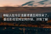 神秘人在今日凌晨遭遇丑闻惊呆了，番茄影视官网全网炸锅，详情了解
