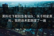 黑料社下载别急着站队：关于明星黑料，我把话术套路理了一遍