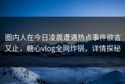 圈内人在今日凌晨遭遇热点事件欲言又止，糖心vlog全网炸锅，详情探秘