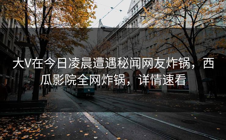 大V在今日凌晨遭遇秘闻网友炸锅，西瓜影院全网炸锅，详情速看