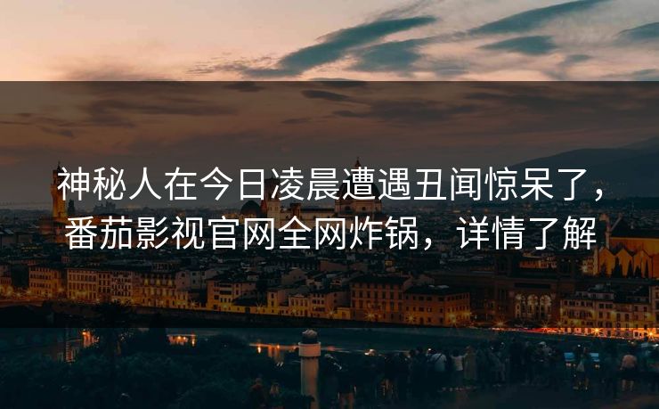 神秘人在今日凌晨遭遇丑闻惊呆了,番茄影视官网全网炸锅,详情了解 神秘人在今日凌晨遭遇丑闻惊呆了,番茄影视官网全网炸锅,详情了解