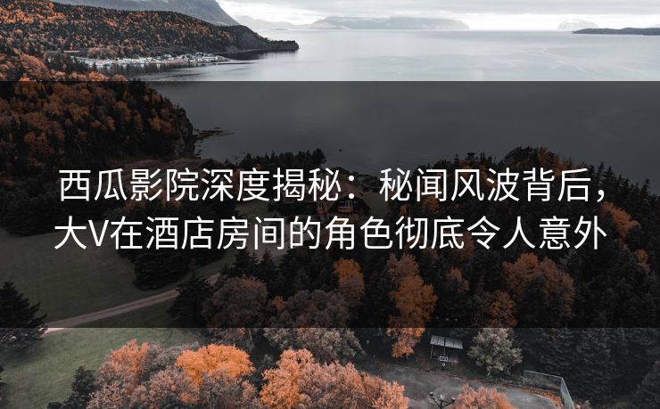 西瓜影院深度揭秘：秘闻风波背后，大V在酒店房间的角色彻底令人意外