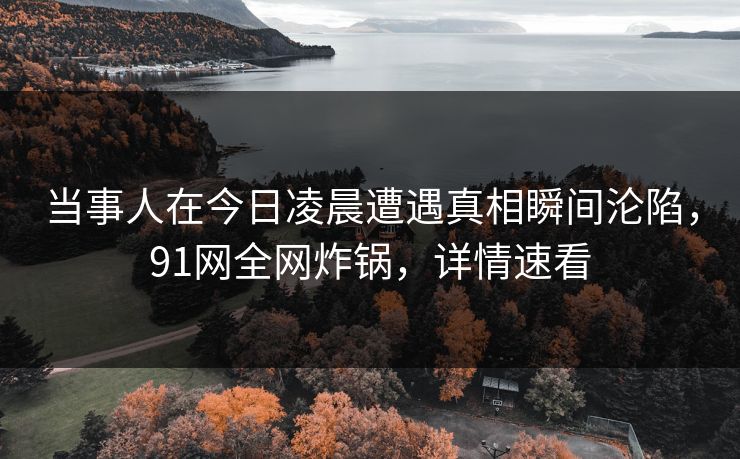 当事人在今日凌晨遭遇真相瞬间沦陷,91网全网炸锅,详情速看 当事人在今日凌晨遭遇真相瞬间沦陷,91网全网炸锅,详情速看