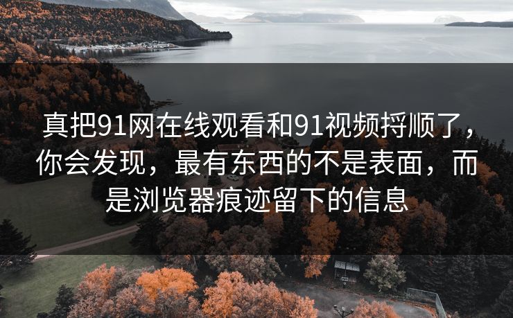 真把91网在线观看和91视频捋顺了，你会发现，最有东西的不是表面，而是浏览器痕迹留下的信息